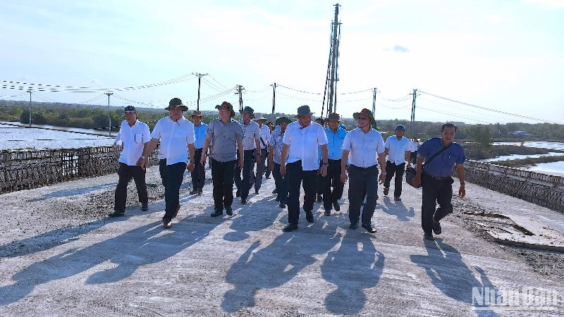 Đoàn công tác của Bí thư Tỉnh ủy và Chủ tịch Ủy ban nhân dân tỉnh Cà Mau kiểm tra tiến độ xây dựng cầu Gành Hào vào chiều 17/3. 