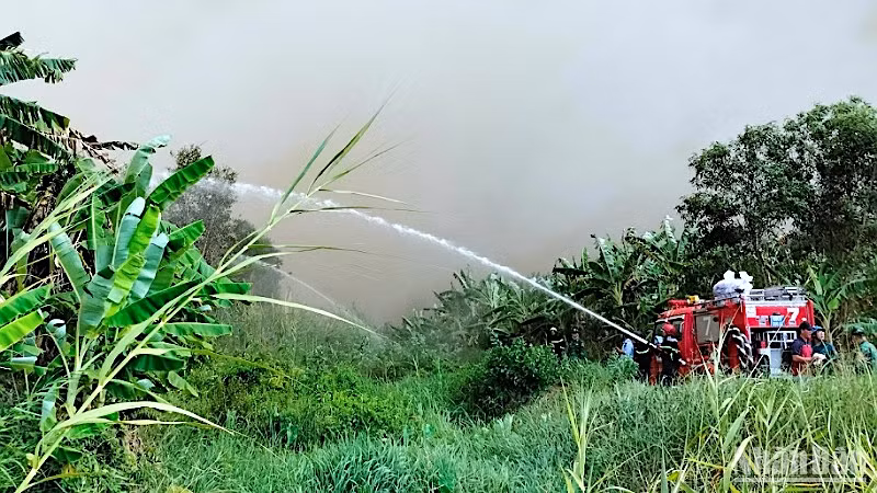 Xe chữa cháy và lực lượng chuyên dụng tham gia dập lửa tại Nông trường 402.