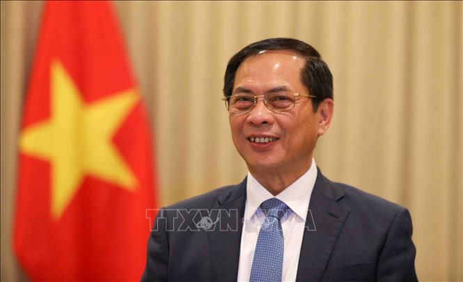 Phó Thủ tướng Chính phủ, Bộ trưởng Ngoại giao Bùi Thanh Sơn. Ảnh: TTXVN.