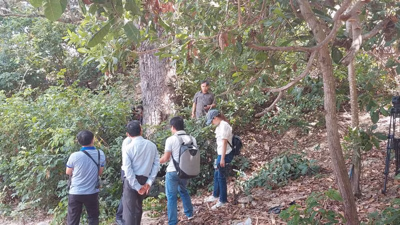 Cây chai lá cong còn lại ở xã Xuân Cảnh, thị xã Sông Cầu.