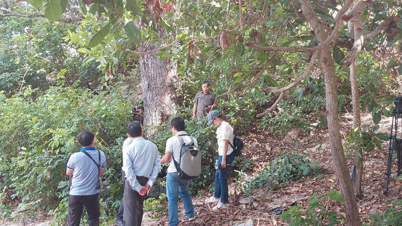 Cây chai lá cong còn lại ở xã Xuân Cảnh, thị xã Sông Cầu.