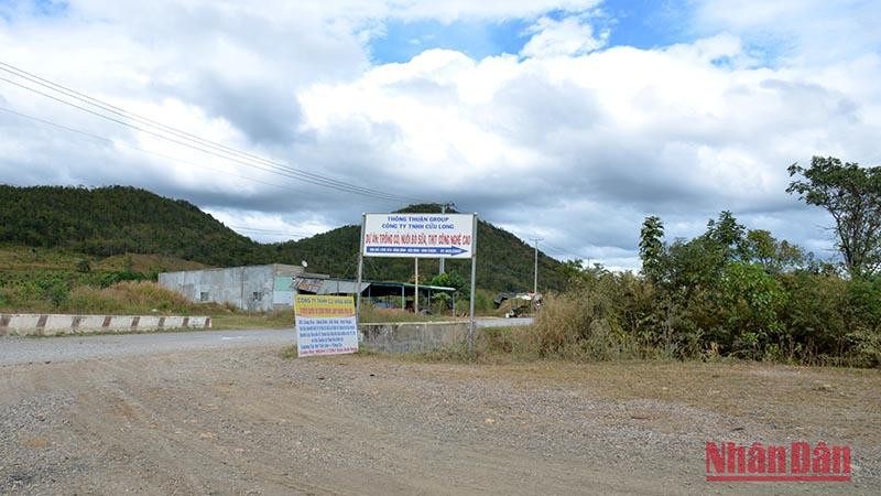 Đường vào Dự án Trồng cây ngắn ngày và chăn nuôi bò sữa, bò thịt công nghệ cao của Công ty cổ phần sữa Thông Thuận tại thôn Láng Xéo, xã Sông Bình, huyện Bắc Bình (Bình Thuận).