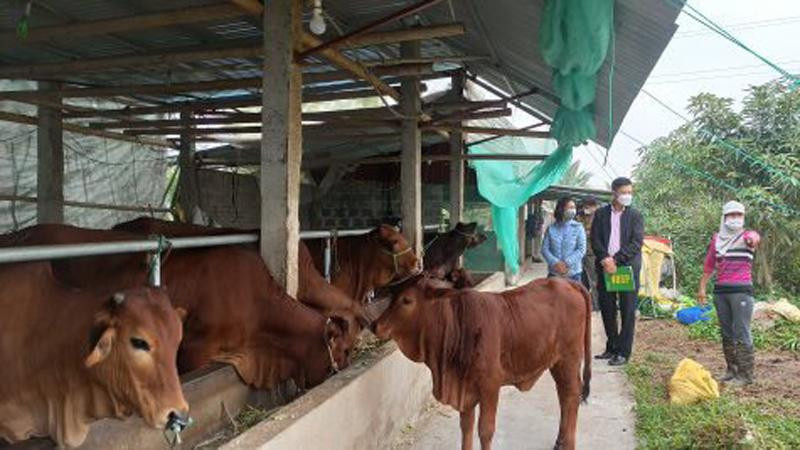 Hơn 141 nghìn hộ dân ở Thái Bình thoát nghèo thông qua nguồn tín dụng chính sách.
