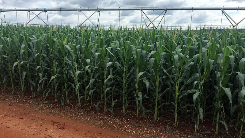 Ảnh minh họa. (Nguồn: Reuters)