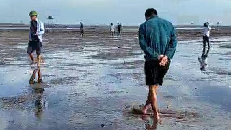 Các cơ quan chức năng của huyện Thái Thụy và lãnh đạo xã Thái Đô (tỉnh Thái Bình) đi kiểm tra ngao chết ngày 11/9. (Ảnh cắt từ clip)