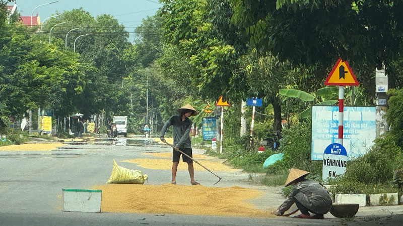 Việc người dân lấn chiếm lòng đường tận dụng làm nơi phơi thóc tiềm ẩn nhiều nguy cơ gây mất an toàn giao thông.