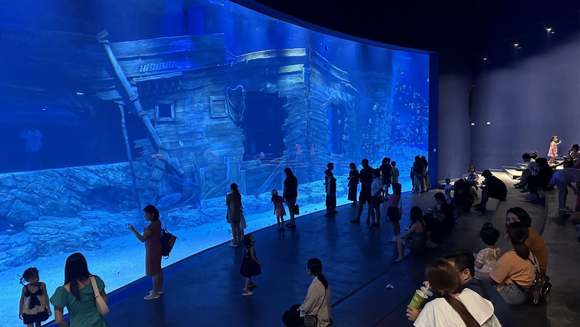 [Video] Thủy cung rộng 9.000m2 tại Hà Nội