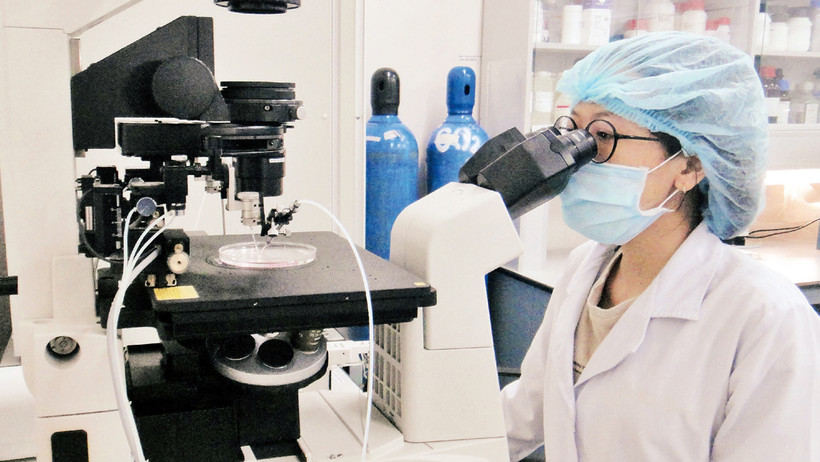 Nghiên cứu khoa học tại Trường đại học Quốc tế, Đại học Quốc gia Thành phố Hồ Chí Minh. 