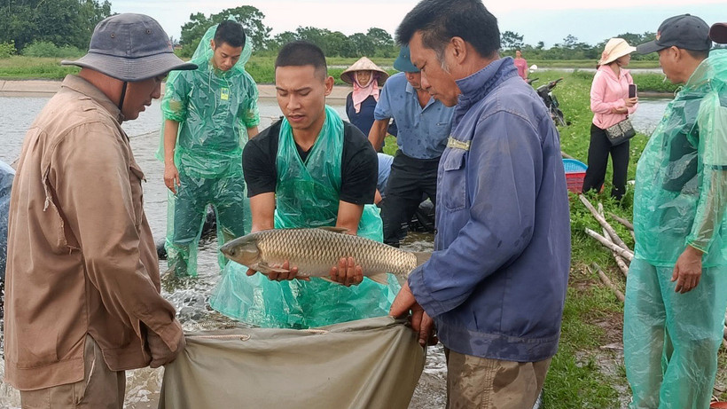 Nuôi cá trên ao bán nổi tại xã Bình Định, huyện Kiến Xương (tỉnh Thái Bình) cho thu nhập khoảng 160 triệu đồng/ha. 