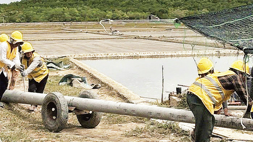 Tết đầu tiên có điện của 25 hộ dân ấp đảo Thiềng Liềng 