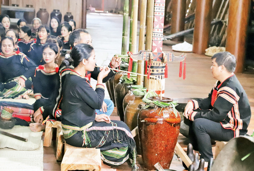 Người Ê Đê theo chế độ mẫu hệ nên trong các cuộc uống rượu cần, phụ nữ là người được uống trước. 