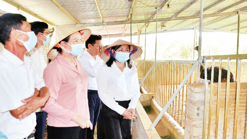 Các đại biểu HĐND tỉnh Hà Nam khảo sát mô hình phát triển kinh tế tại huyện Thanh Liêm. 