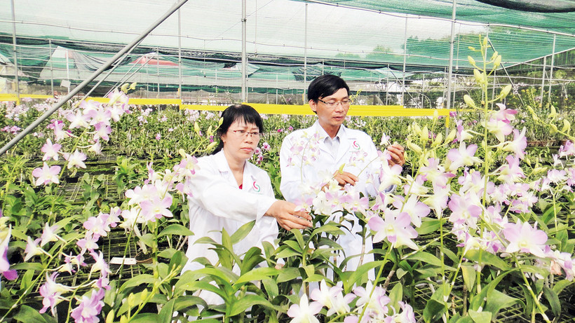 Định hình hệ sinh thái nông nghiệp bền vững 