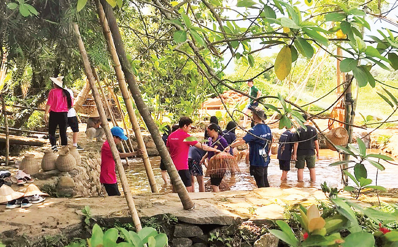 Tham gia các hoạt động trải nghiệm trong không gian xanh là một đặc trưng của Trang trại Đồng quê (huyện Ba Vì). 
