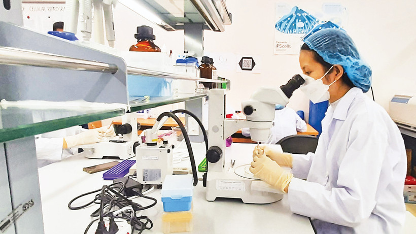 Hoạt động nghiên cứu khoa học tại Ðại học Quốc gia thành phố Hồ Chí Minh. 