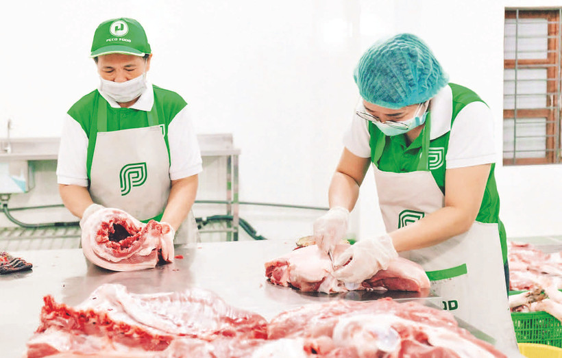 Sản xuất, chế biến thực phẩm từ thịt heo thảo mộc tại Peco Food. 