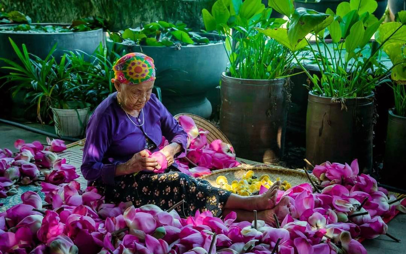 Chế biến các sản phẩm tại Hợp tác xã nông nghiệp Sen Quê Bác. (Ảnh NHẬT THÀNH) 