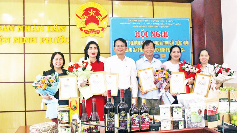 Hội đồng đánh giá sản phẩm OCOP huyện Ninh Phước (Ninh Thuận) trao giấy chứng nhận sản phẩm OCOP cho các chủ thể năm 2024. 