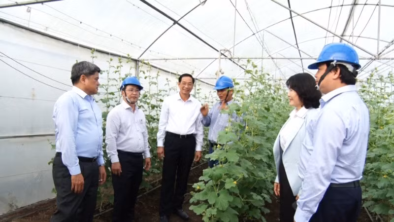 Thứ trưởng Nông nghiệp và Phát triển nông thôn Trần Thanh Nam cùng lãnh đạo tỉnh Đồng Nai, huyện Xuân Lộc khảo sát tại một mô hình sản xuất nông nghiệp.