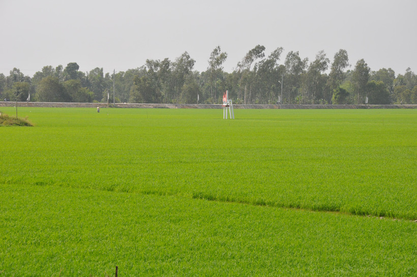 Nơi diễn ra trận đánh Ấp Bắc.