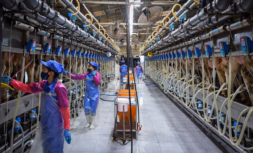 (Ảnh: Thành Đạt)