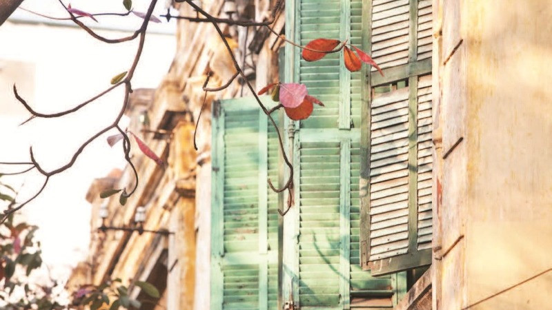 Những ô cửa sổ cũ như giữ lại một nhịp sống sâu lắng hơn. (Ảnh SƠN TÙNG)
