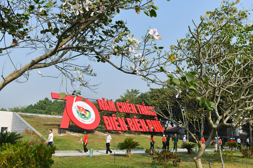 Mùa hoa ước vọng