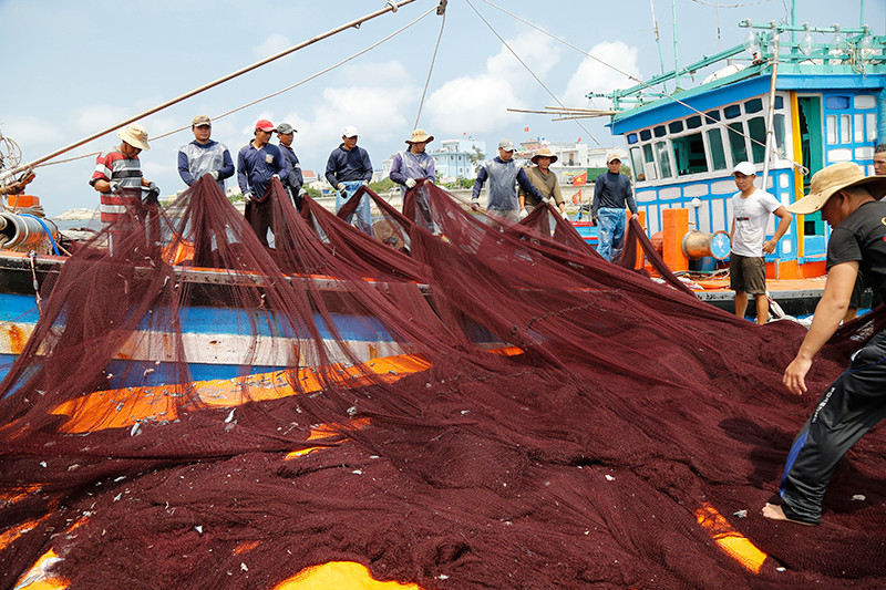 Ngư dân cần tuân thủ các quy định khai thác. Ảnh: Khiếu Minh