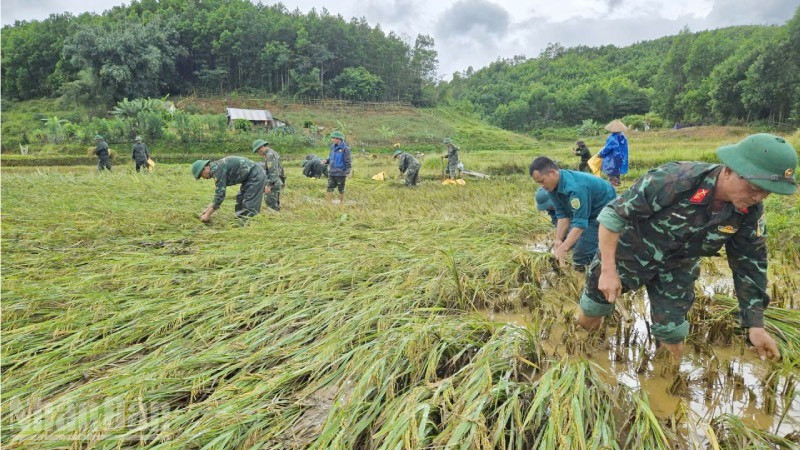 Các lực lượng vũ trang thành phố Huế tiếp tục bám địa bàn, hỗ trợ nhân dân khắc phục hậu quả do bão số 10 gây ra.