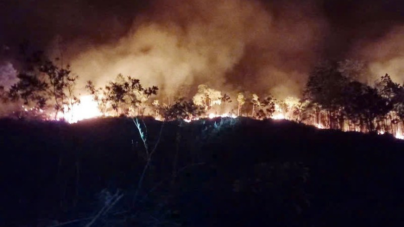 Diện tích bị cháy rộng hơn 2ha.