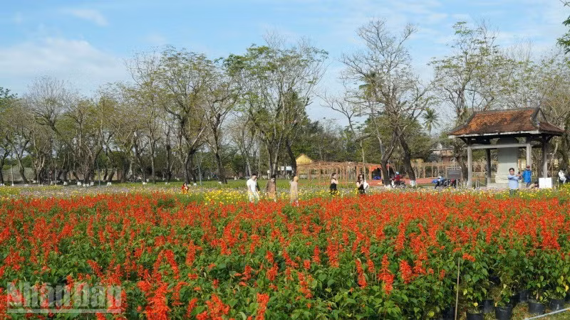 Tết Phú Xuân - Sắc vị Kinh kỳ hút khách từ những ngày mới chuẩn bị.