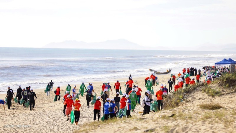 Các hoạt động thu gom rác trên bãi biển của dự án luôn thu hút nhiều người tham gia.