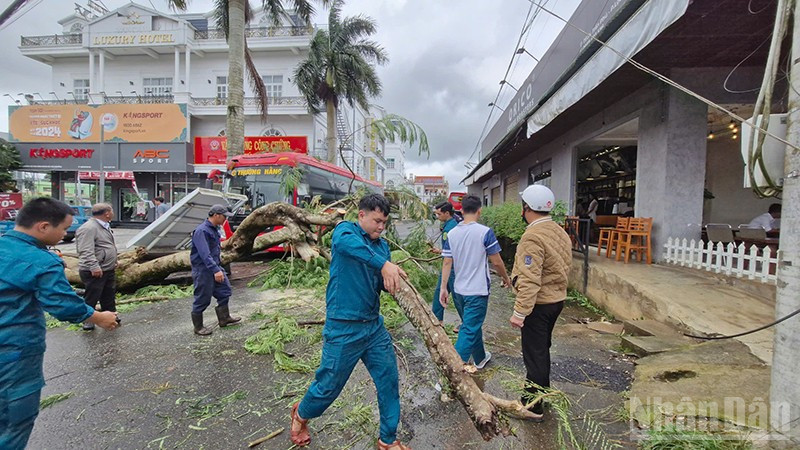 Các lực lượng phường B'Lao, tỉnh Lâm Đồng, tích cực tham gia giải phóng hiện trường cây phượng bị ngã đổ. ndo_br_123.jpg