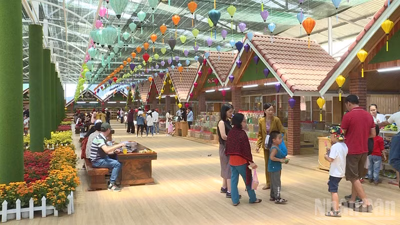 Mô hình du lịch canh nông tại Lâm Đồng thu hút du khách đến tham quan, trải nghiệm.