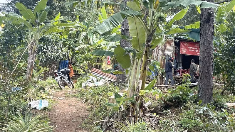 Căn chòi của bà ngoại, nơi cháu bé bị mất tích.