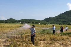 Đội chống săn bắt chim yến thu giữ tang vật vi phạm. Tuy nhiên, lực lượng này chỉ là những anh em bảo vệ của Công ty Yến sào Khánh Hòa kiêm nhiệm. (Ảnh: CTV) 