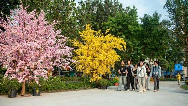 Khu đất số 8 Võ Văn Tần (Trung tâm Thể dục Thể thao Phan Đình Phùng) thu hút người dân thành phố đến vui chơi dịp Tết cổ truyền (ảnh: QUÝ HIỀN)