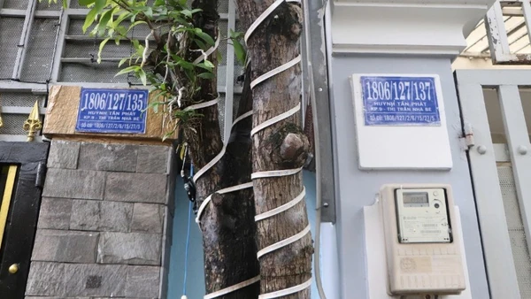 Số nhà tại nhiều tuyến đường ở Thành phố Hồ Chí Minh đánh số không theo quy tắc, vừa khó khăn cho việc tìm địa chỉ vừa khó cho công tác quản lý.