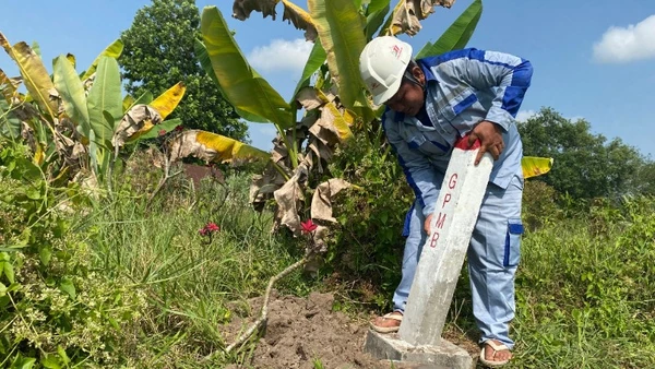 Cắm mốc và bàn giao ranh đất chuẩn bị thi công dự án cao tốc Thành phố Hồ Chí Minh-Mộc Bài. (Ảnh: QUÝ HIỀN)