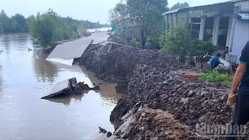 Vị trí sạt lở đất làm "tê liệt" việc đi lại trên tuyến lộ Kinh Mới (xã Thanh Tùng, tỉnh Cà Mau) trong ngày 17/7.