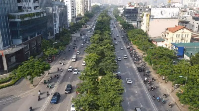 Nhiều tuyến đường Thủ đô sẽ được tổ chức cắt tỉa cây xanh, vén tán, nâng cao vòm lá hệ thống cây xanh, bảo đảm an toàn giao thông, mỹ quan đô thị.