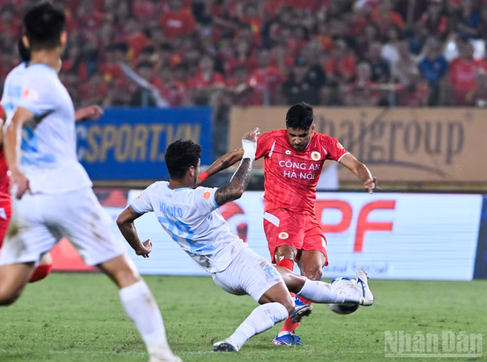 ndo_br_a7448385fe947fca2685.jpg