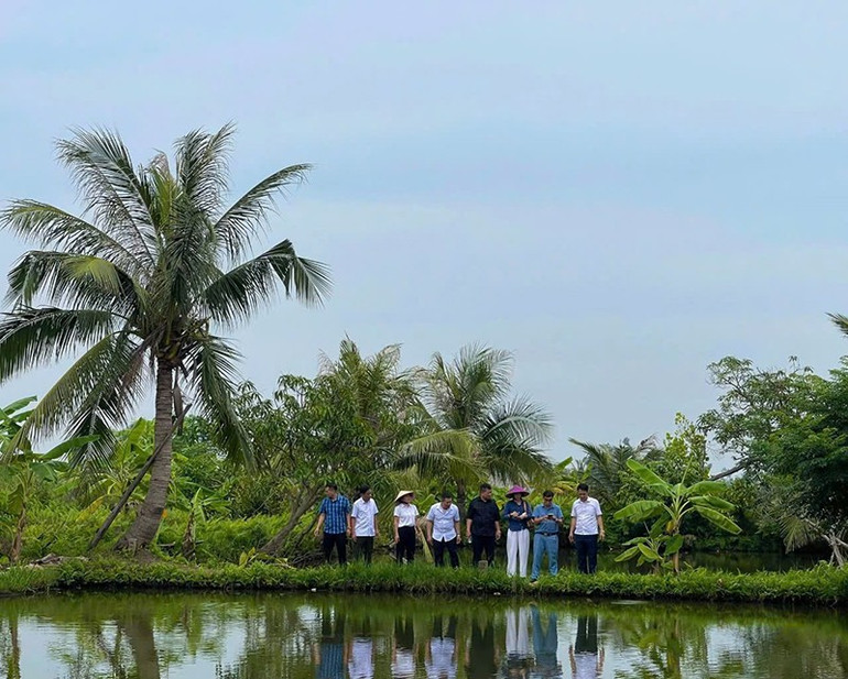 Hiện trạng bãi cọc Đồng Má Ngựa, phường Phong Cốc, tỉnh Quảng Ninh. baicoc2.jpg