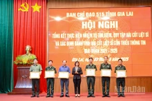 Đồng chí Nguyễn Thị Thanh Lịch trao Bằng khen tặng 6 tập thể và 14 cá nhân có thành tích trong thực hiện nhiệm vụ tìm kiếm, quy tập hài cốt liệt sĩ và xác định danh tính hài cốt liệt sĩ còn thiếu thông tin giai đoạn 2021-2025.