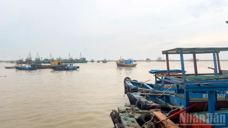 Công tác ứng phó bão số 13 được triển khai khẩn trương, đồng bộ tại các địa phương ven biển Lâm Đồng.