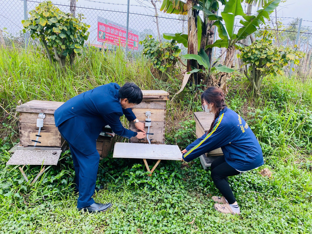 Việc áp dụng các công nghệ 4.0 trong bảo đảm chất lượng sản phẩm, minh bạch quá trình sản xuất và phân phối sản phẩm là giải pháp bền vững cho phát triển ngành ong Việt Nam.