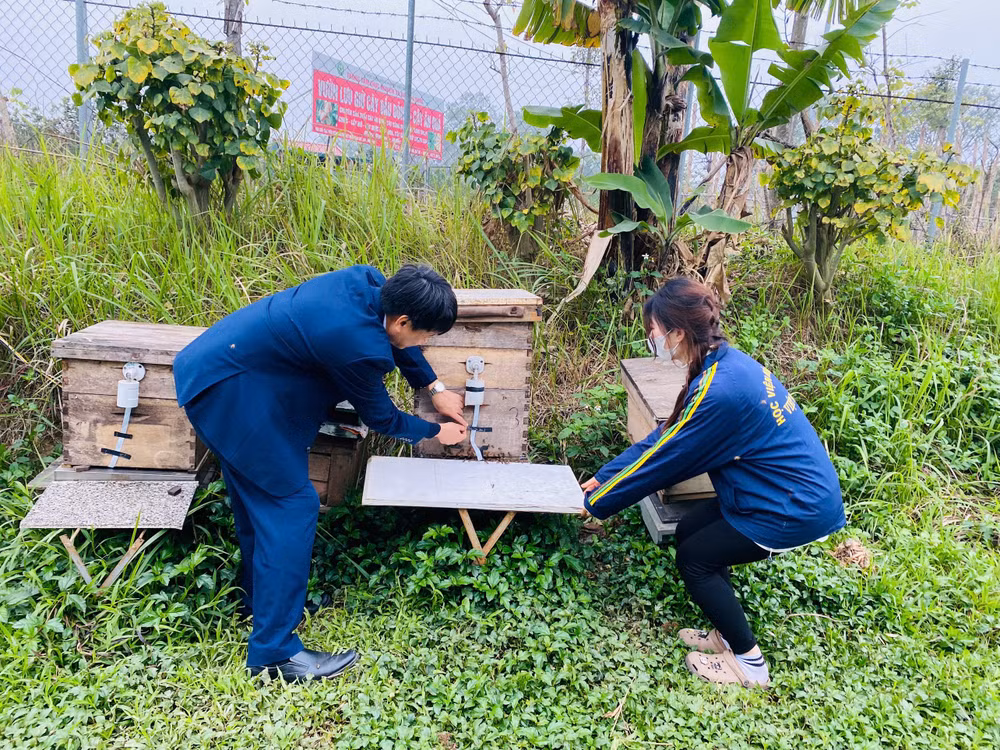 Việc áp dụng các công nghệ 4.0 trong bảo đảm chất lượng sản phẩm, minh bạch quá trình sản xuất và phân phối sản phẩm là giải pháp bền vững cho phát triển ngành ong Việt Nam.