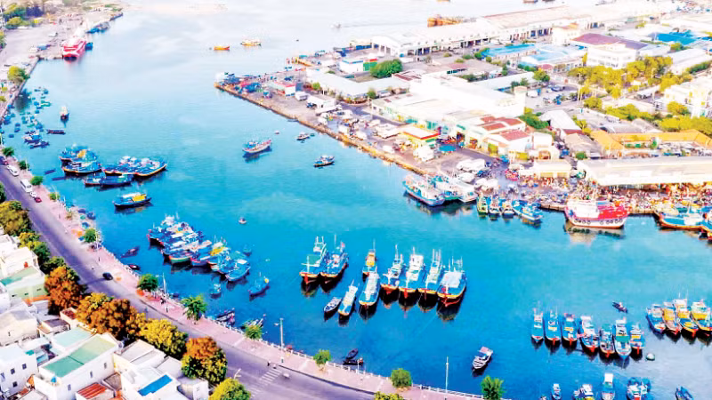Phía đông nam Lâm Đồng giữ vai trò đầu mối kết nối ra biển, với lợi thế về năng lượng tái tạo và logistics.