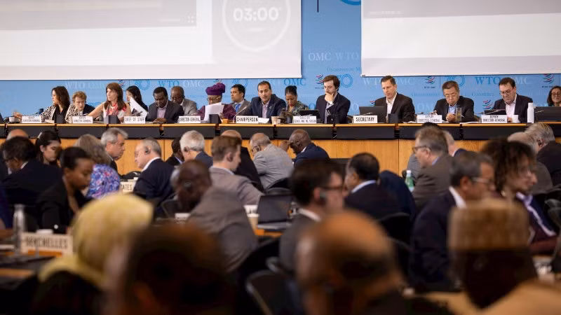 Toàn cảnh cuộc họp Đại hội đồng WTO. (Ảnh: WTO)