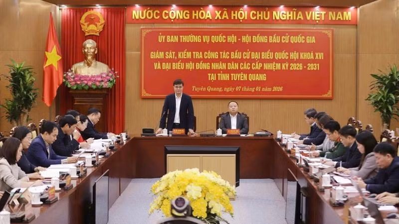 Đồng chí Bùi Quang Huy phát biểu tại buổi làm việc với tỉnh Tuyên Quang.